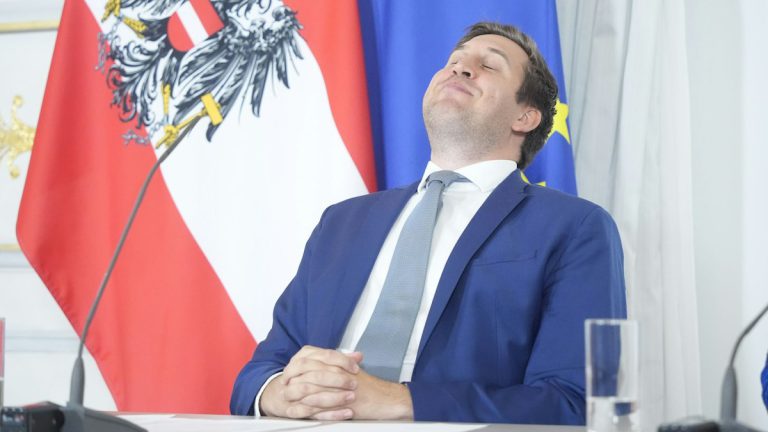 Kein Weihnachts-Märchen: Die ID Austria und ihr riskantes Sicherheitsleck